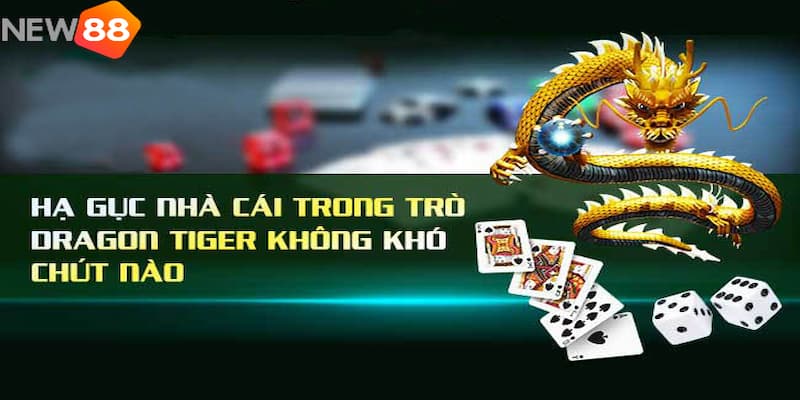 bí quyết chơi rồng hổ online Bí quyết chơi rồng hổ online