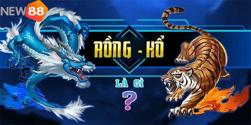 chiến thuật rồng hổ Sơ lược về rồng hổ