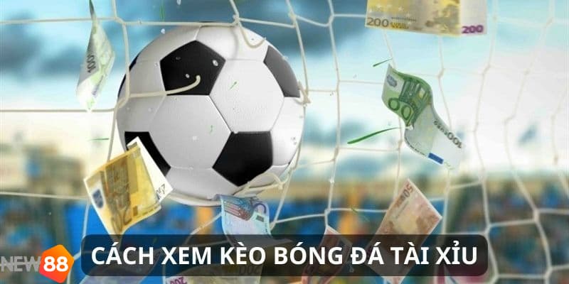 Hướng dẫn xem kèo Tài Xỉu bóng đá dễ hiểu cho tân thủ