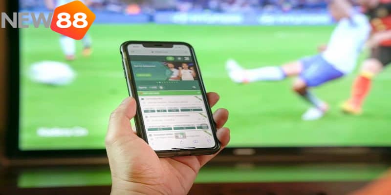 Các ký hiệu trong kèo chấp 1 trái mà bạn cần biết