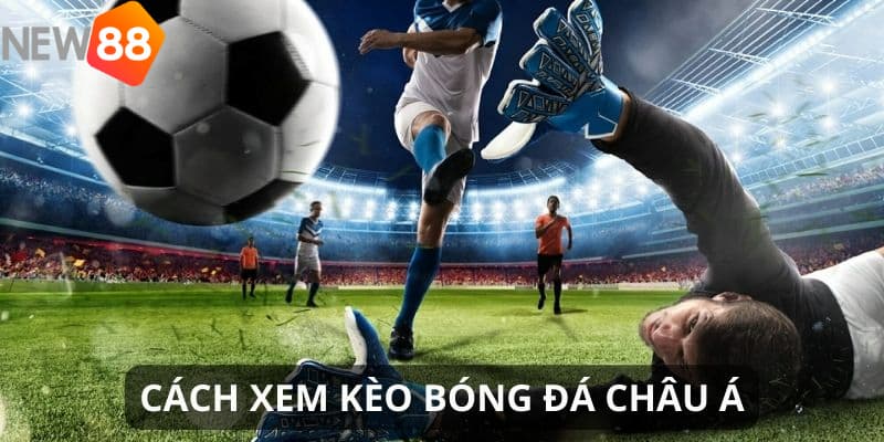 kèo châu Á ngoại hạng Anh Hướng dẫn chi tiết về cách đọc kèo châu Á ngoại hạng Anh
