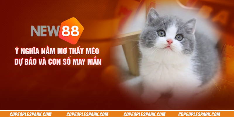 Ý nghĩa nằm mơ thấy mèo : Dự báo và con số may mắn