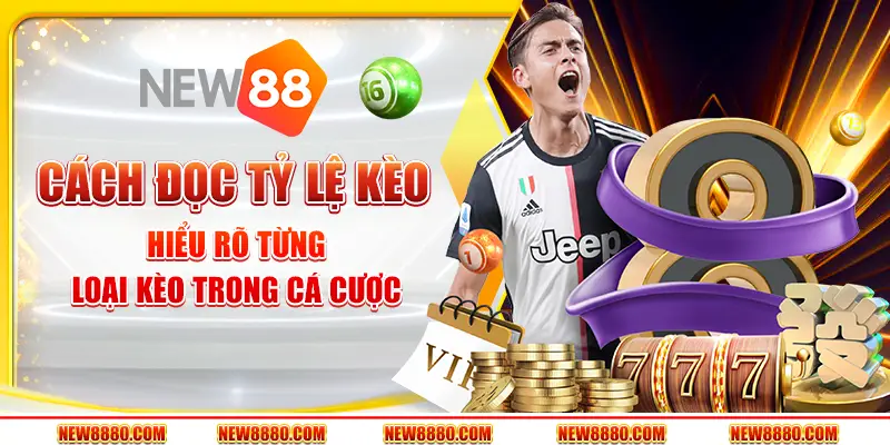 Cách đọc tỷ lệ kèo: Hiểu rõ từng loại kèo trong cá cược