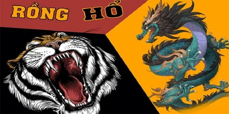 Thuật ngữ cần nắm khi trải nghiệm rồng hổ 