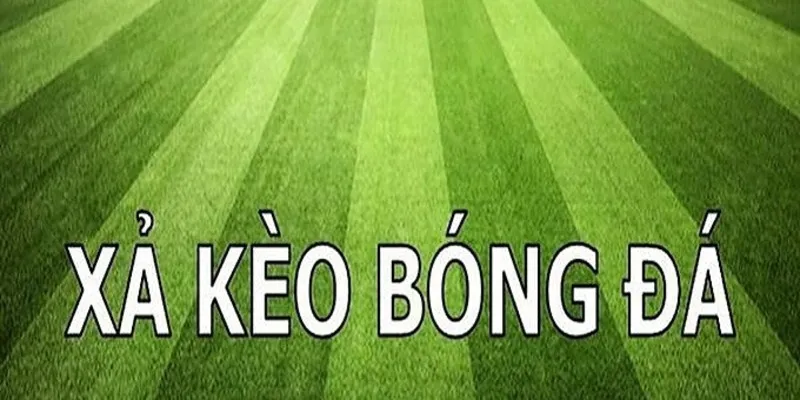 Cách xả kèo mới nhất 2024 mà người dùng nên nắm rõ