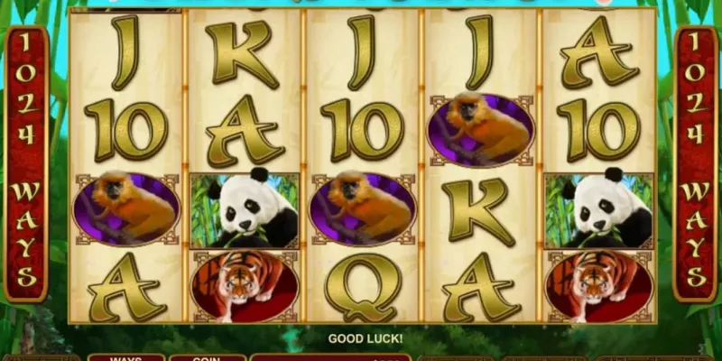 Chia sẻ kinh nghiệm quý báu khi chơi Lucky Panda 