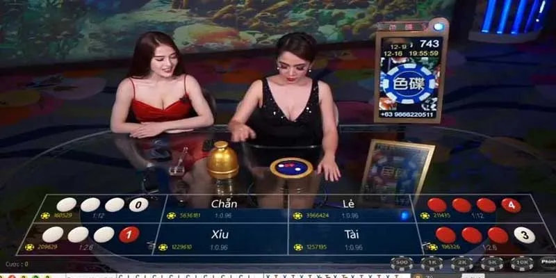 Cách chơi xóc đĩa miễn phí