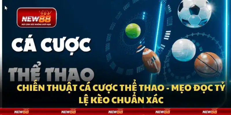 Chiến thuật cá cược thể thao - Mẹo đọc tỷ lệ kèo chuẩn xác